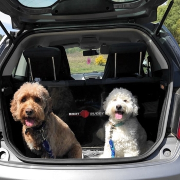 Ford KA 09 16 car boot liner Boot Buddy with dogs