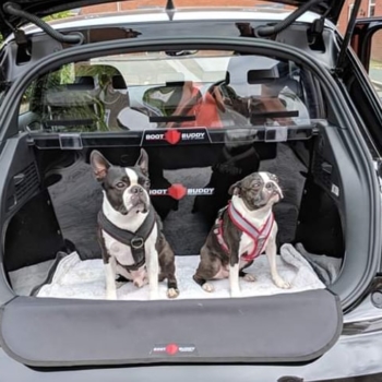 Audi A1 Sportback Car Boot Liner By Boot Buddy And Safe D Guard Dogs Dolly And Louis Min