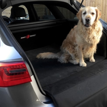 Audi A6 Avant Car Boot Liner With Retriever Dog