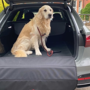 Boot Buddy VersaLiner With Dogs In Audi A4 Avant 15 'ted' Min
