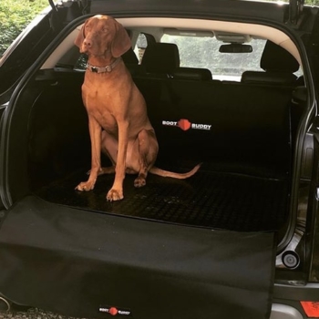 Boot Buddy And Dog In Range Rover Evoque 3 Door Min