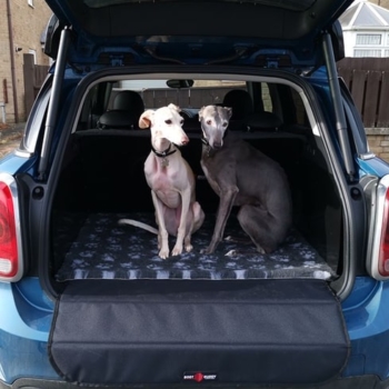 Boot Buddy Car Boot Liner And Dog In Mini Countryman 17 Onwards