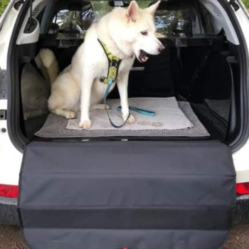 Boot Buddy Car Boot Liner In Jeep Compass With Dog