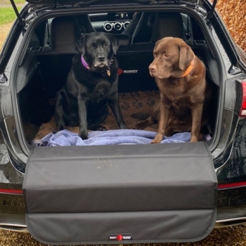 Boot Buddy Liner With Dogs In Mercedes A Class Hatchback 2018