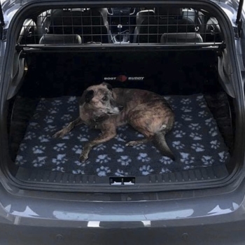 Dog In Boot Buddy VersaLiner Fitted In Ford Focus HB 11 18 Min