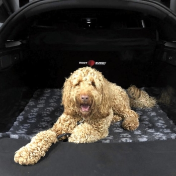 Dog In Boot Buddy Car Boot Liner For Land Rover Range Rover Velar