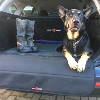 Kia C'eed SW Boot Buddy Car Boot Liner With Dog
