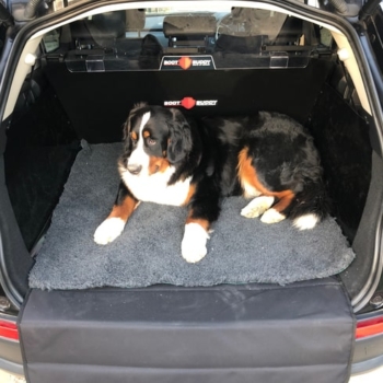 Land Rover Discovery Boot Liner And Safe D Guard Dog Guard With Dog