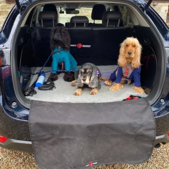 Mazda CX 5 With Boot Buddy VersaLiner And Dogs