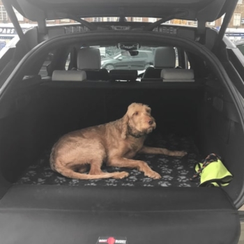Range Rover Velar Boot Buddy With Dog