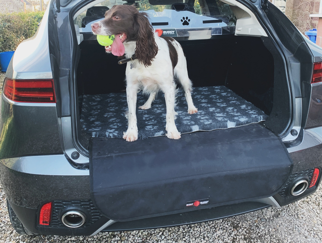 made to measure pet boot liner