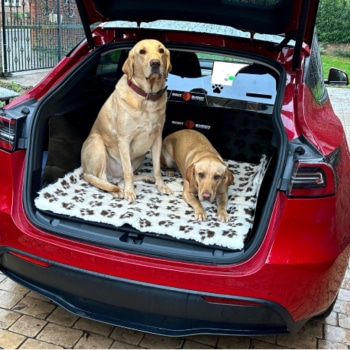 Tesla Model Y VersaLiner Safe D Guard Boot Liner Dog Guard Labrador Golden Retriever Dogs