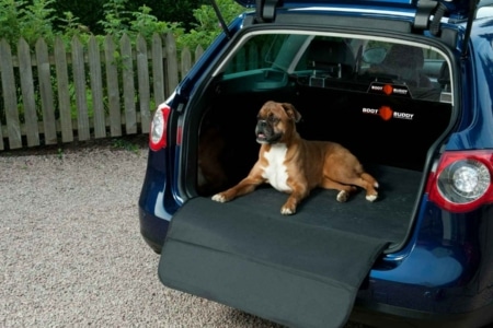 How to safely transport a dog in a car?