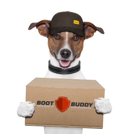 BB Delivery Dog